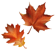 Fall Season Sticker by SoulRoboX s.r.l.