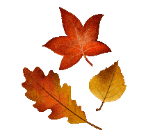 Autumn Leaves Fall Sticker by SoulRoboX s.r.l.