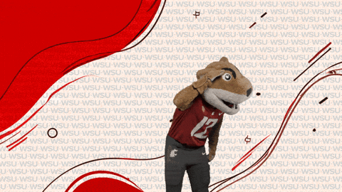 Washington State Go Cougs GIF by WSU Pullman