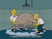 Episode 1 Endangered Car Wash GIF by The Simpsons