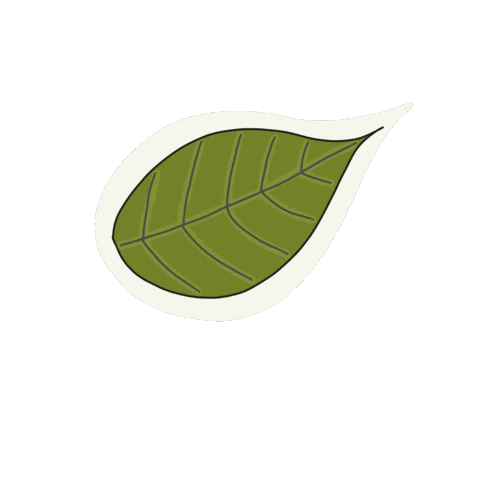 Fall Autumn Sticker