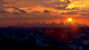 nyc sunset GIF by US Open