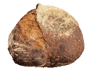 Food Quarantine Sticker by foodbabyny