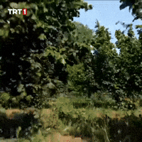 Happy Fresh Air GIF by TRT