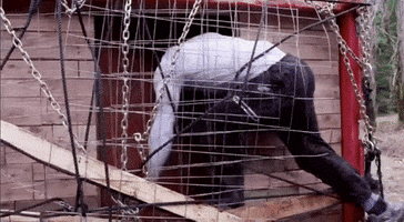 john cena fox GIF by American Grit