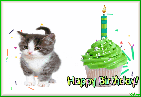 CuteAnimations giphyupload GIF