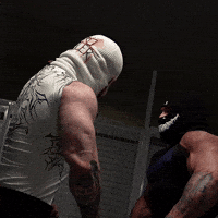 Fight GIF