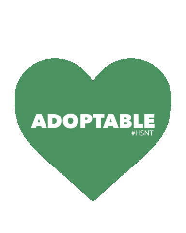 Adopt Animal Rescue Sticker by Humane Society of North Texas