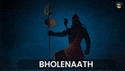 Om Namah Shivay Shiva GIF by Zion