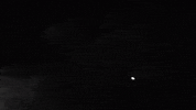 black and white horror GIF by Epitaph Records