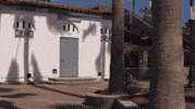 beach bike GIF by Animal Kingdom on TNT