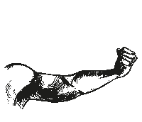 Draw Biceps Sticker by Active Square