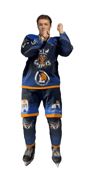 Celebration Goal Sticker by Hockey Club Châlonnais