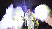 Baseball Hype GIF by NCAA Championships
