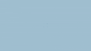 Art Video GIF by jorgemariozuleta