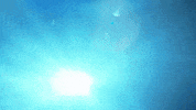 animation art GIF by CATTURA Production