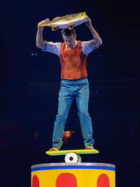 Ringling Bros Circus GIF by Ringling Bros. and Barnum & Bailey