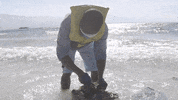 Earth Day GIF by 4ocean