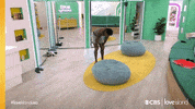 Season 2 Love GIF by LoveIslandUSA
