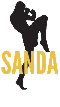 Martial Arts Calcio Sticker by Champion Training Sanda Martial Art