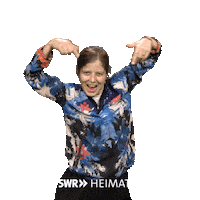 Look Action Sticker by SWR Heimat