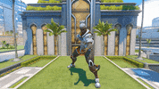Owl Skins GIF by Overwatch Esports