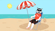 NortheasternUniversity northeastern northeasternuniversity northeastern university nuexperience GIF