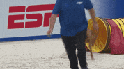 Espn Dogs GIF by American Kennel Club