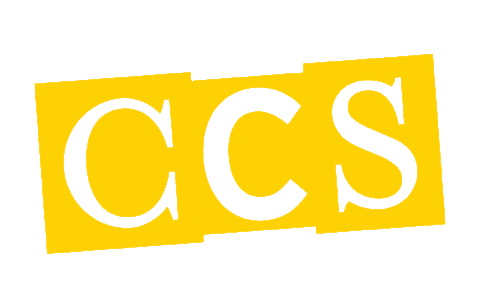 art design Sticker by College for Creative Studies