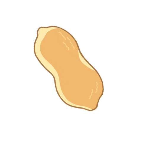 emart24_ giphyupload peanut 이마트24 콘꾸 Sticker