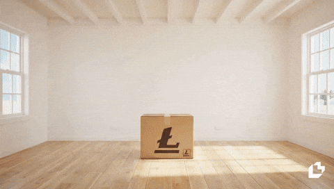 Lifestyle Apparel GIF by LitVM