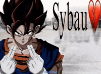 Dragon Ball Z GIF
