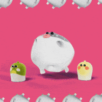 Dance Chicken GIF