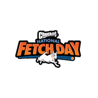 ChuckitFetchGames nfd chuckit nationalfetchday Sticker
