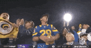 Regular Season Football GIF by NFL