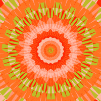 Loop GIF by tracheotommy