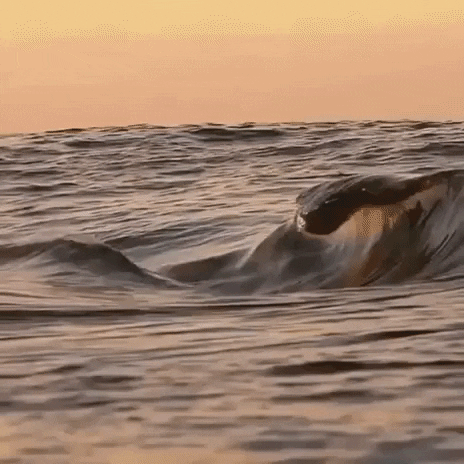 Oddly Satisfying GIF by giphydiscovery