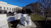 tennessee GIF