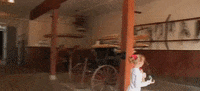 tennessee GIF