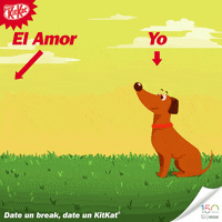kit kat love GIF by KitKat® Colombia