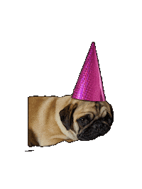 Party Animal Sticker