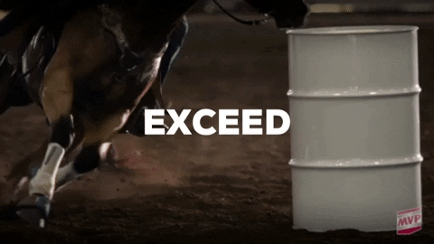 MedVetPharm giphygifmaker horse horses mvp GIF