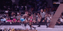 All Elite Wrestling GIF by AEWonTV