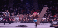 All Elite Wrestling GIF by AEWonTV