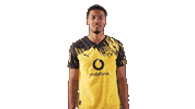 Borussia Dortmund Football Sticker by Bundesliga