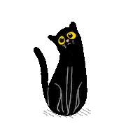 myoddthumb cat cats kitty kitten Sticker