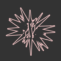 GIF by Borrachas