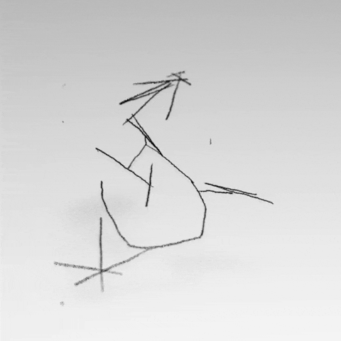 _daanlucas_ giphyupload bird abstract peaceful GIF