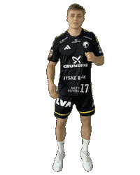 Bsh Sticker by Bjerringbro-Silkeborg Håndbold