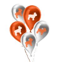 Real Estate Realtor Sticker by NHSimplicity